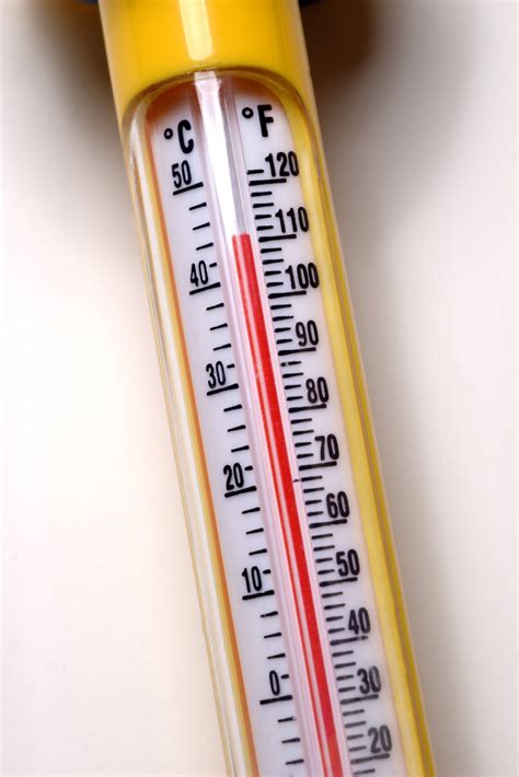 kind  thermometer    measure temperature  arctic