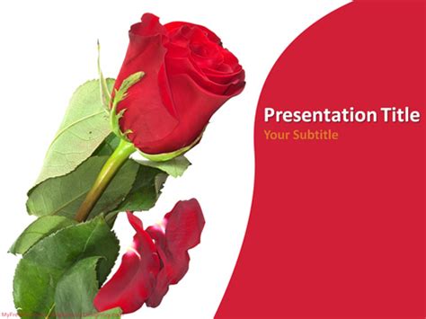 red rose powerpoint template   powerpoint