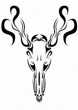 Deer Skull Drawing Tribal Drawings Silhouette Clipart Skulls Clip Head Whitetail Cliparts Use Clipartbest Resource Buck Clipartmag Library sketch template