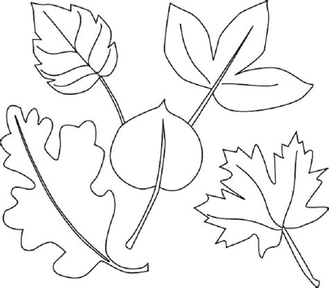 spring leaves coloring pages molde folhas flores  colorir