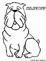 Mastiff Pages Dogs Coloring Fun sketch template