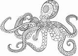 Octopus Zentangle Mandala Drawn Oceanic Antistress sketch template