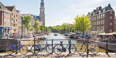 these coolest things to do in amsterdam now