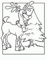 Coloring Reindeer Pages Christmas Printable Tree Kids Print Color Sheets Bestcoloringpagesforkids Ultimate Collection Deer sketch template