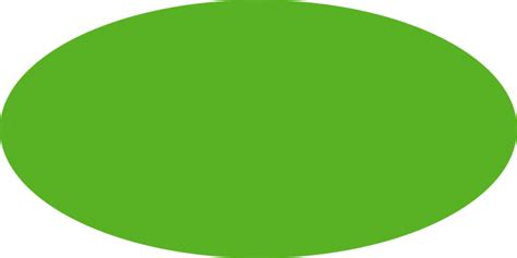 oval clipart green oval green transparent