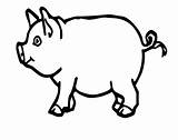 Pig Coloring Pages Kids Template Funny Preschoolers Printable Color Pigs Print Creature Bug Emma Printcolorcraft sketch template