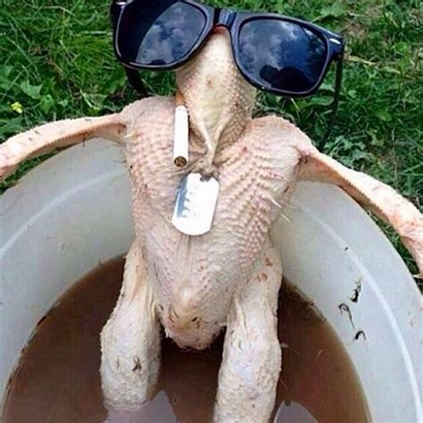 15 Thanksgiving Memes To Baste Your Turkey To Funny Gallery Ebaum S