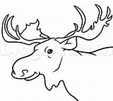 Moose Drawing Head Outline Sketch Animals Coloring Forest Tutorial Learn Drawings Pencil Deer Getdrawings Paintingvalley Cartoon Popular Clipartmag Library Coloringhome sketch template