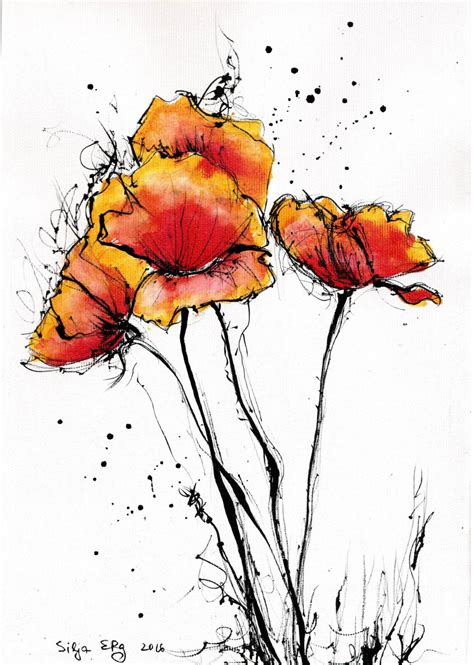 poppy flowers drawing  getdrawings