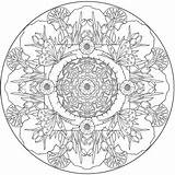 Coloring Mandala Nature Mandalas Pages Book Butterfly Color Stress Anti Relaxation Doverpublications Adults Adult Dover Doodle Drawing Colouring Printable Publications sketch template