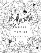 Where Planted Bloom Coloring Re Creative Cancer sketch template