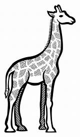Giraffe Clipart Outline Animals Lineart Safari Cute Head Line Cartoon Transparent Coloring Clipartbest Webstockreview Animal Clipground Monochrome Deer Artwork Vector sketch template