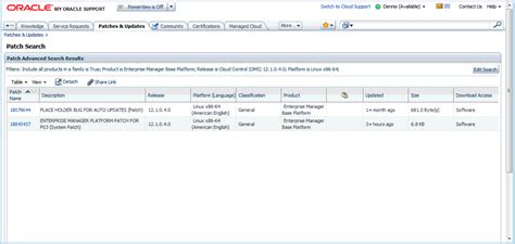 Patching Oracle Management Service And The Repository