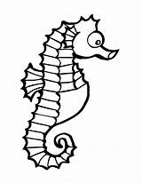 Coloring Seahorse Pages Clipart Template Printable Print Drawing Easy Realistic Sea Line Kids Simple Horse Color Cute Animal Eye Templates sketch template