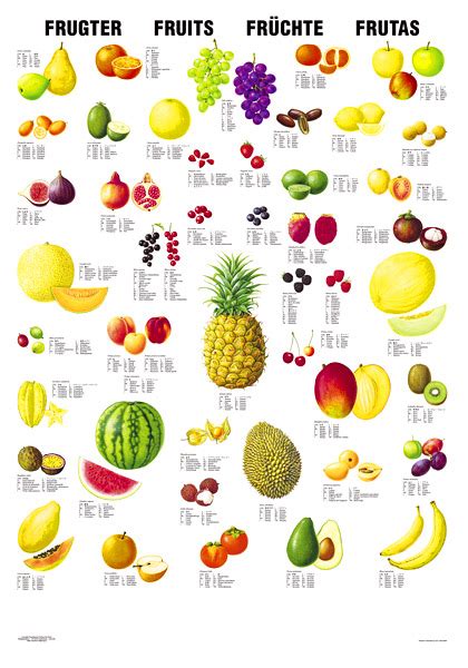 searching fruits  fruits   world