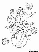 Coloring Pages Circus Monkeys Printable Coloriage Cirque Desktop Right Background Set Click Save Clown sketch template