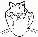 Coloring Kitten Pages Cat Cup Kittens Cute Printable Kids Tea Kitty Baby Drawing Realistic Color Sheets Print Cats Lovely Colouring sketch template