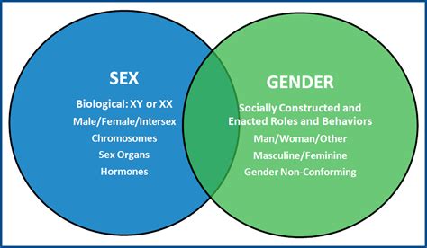 sex and gender health collaborative american medical women s association