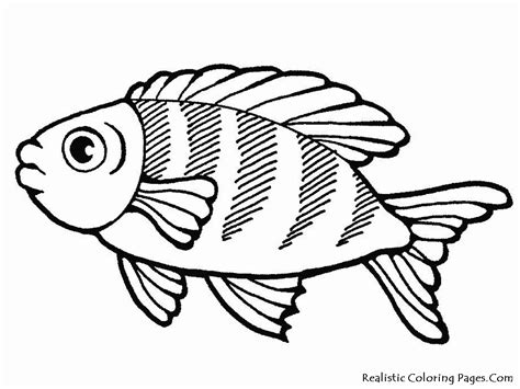 sea fish coloring pages  getcoloringscom  printable colorings