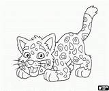 Jaguar Diego Coloring Pages Baby Go Kids Small Printable Friend sketch template