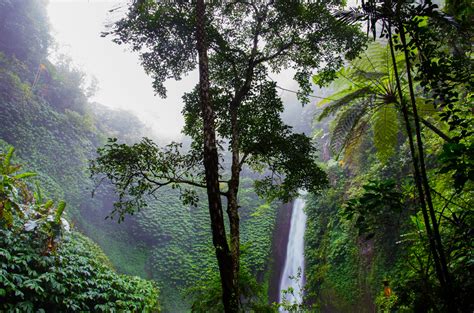 dirt  eco lodges  south americas amazon rainforest green suitcase travel