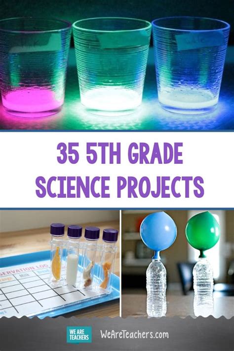 grade science projects   classroom  science fair