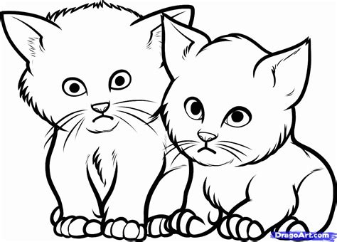 newborn kittens coloring pages coloring home