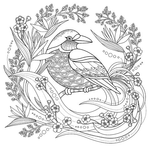 bird coloring pages  adults pattern coloring pages  coloring