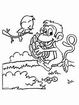 Kleurplaten Scimmie Aap Disegni Met Bananen Tros Colorare Kleurplaat Mewarnai Hewan Binatang Bambini Animasi Malvorlagen Dieren Animierte Bergerak Kinderen Disneyfiguren sketch template
