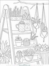 Potted sketch template