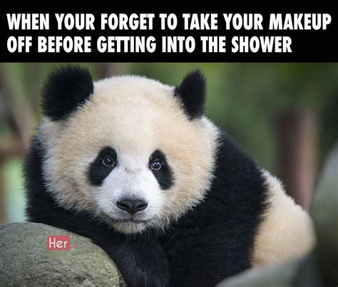 Panda Makeup Meme Mugeek Vidalondon