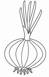 Cebolla Planta Bestcoloringpagesforkids Dibujosonline Onions sketch template