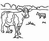 Cow Coloring Dairy Pages Drawing Getdrawings Netart sketch template