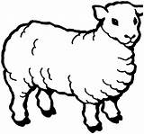 Coloring Sheep Pages Kids Printable Animal sketch template