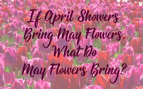 april showers bring  flowers    flowers bring