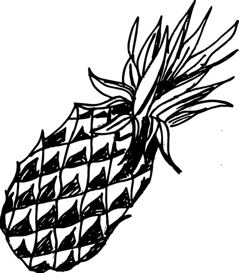 pineapple drawing png transparent onlygfxcom