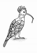 Coloring Pages Bird Lunchtime Beak sketch template