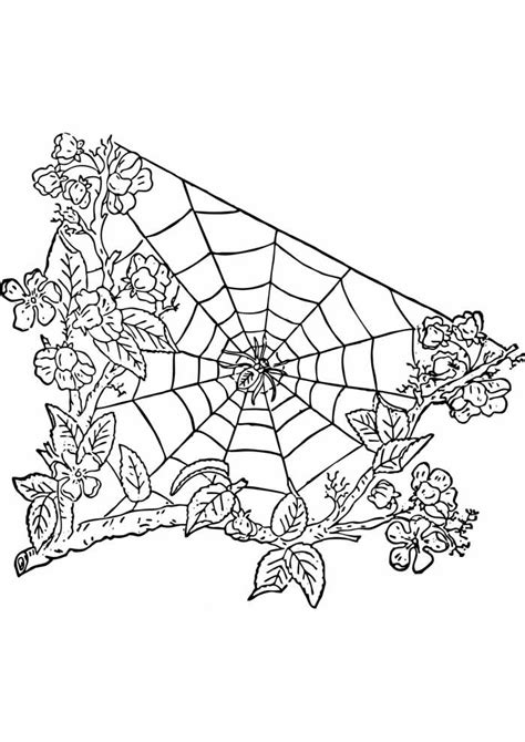 tree coloring pages  personalizable coloring pages