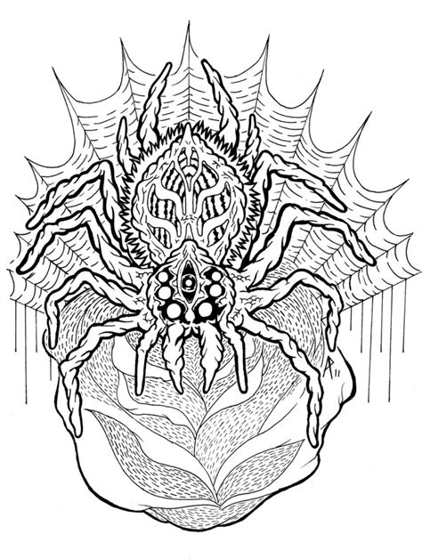 spider coloring pages  animal place