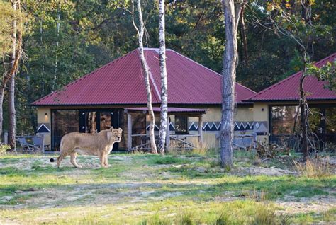safaripark de beekse bergen reizenvanlaere