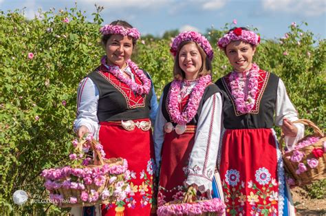 rose festival   easy bulgaria travel
