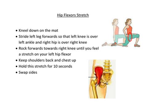 Hip Flexors Stretch Teaching Resources