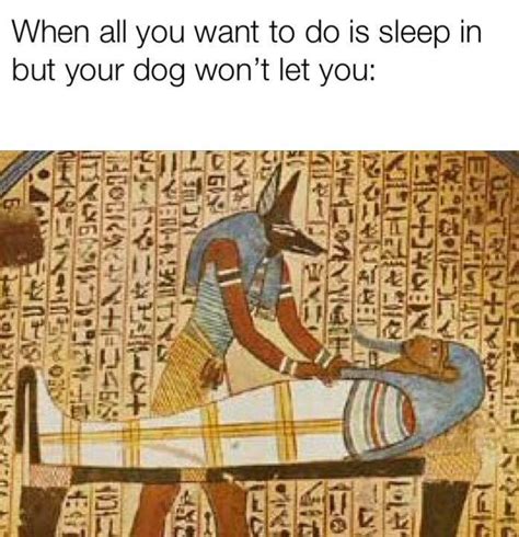 Ancient Egypt Meme Captions Like