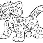 animal coloring pages  coloring kids