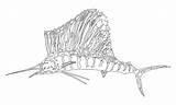 Swordfish Coloringbay sketch template