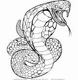 Snake Coloring Pages Cobra Drawing Anaconda Snakes Evil Print Viper Adults Mosaic Sea King Printable Realistic Result Sushi Color Adult sketch template