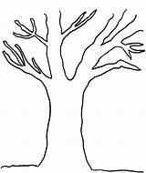 Tree Outline Leaves Printable Clipart Clip Trees Template Coloring Trunk Without Leafless Cliparts Library Drawing Kids Pages Stem Trunks Bare sketch template