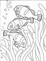 Clownfish Coloring Pages Fish sketch template