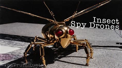 conspiracy fact  insect drones youtube