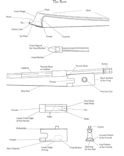 anatomy   bow givens violins minneapolis mn